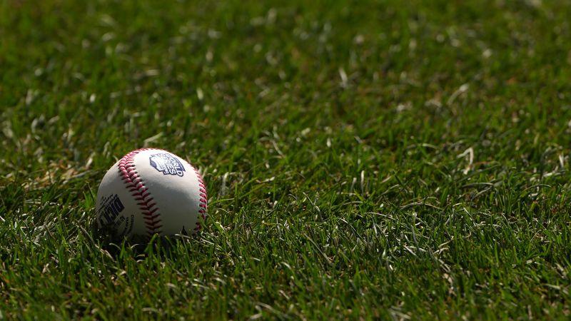 Venezuelan baseball team denies visa to enter us, Small League International |